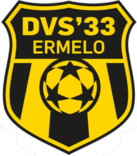 DVS厄梅洛logo